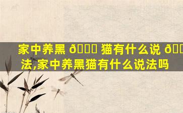 家中养黑 🐝 猫有什么说 🐱 法,家中养黑猫有什么说法吗